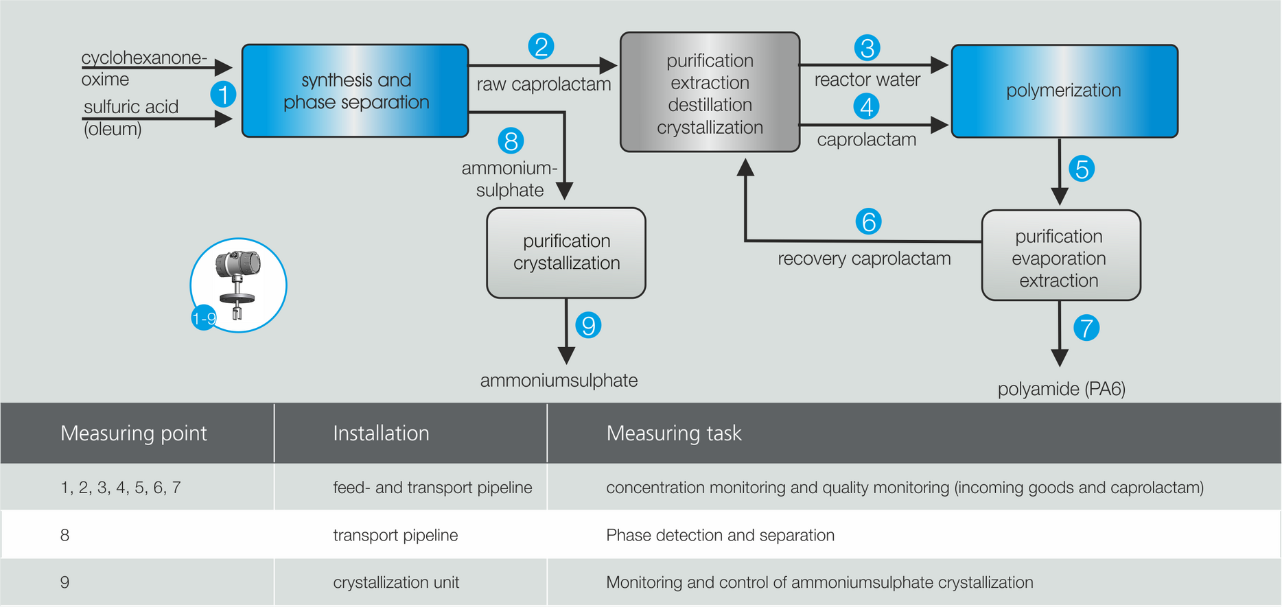 Application example caprolactam production Liquisonic